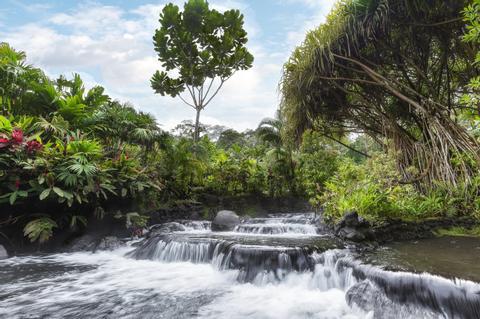 Tabacon Hot Springs Morning Pass Costa Rica